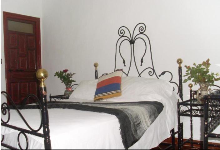 Hostel The Atlas Lion Tanger Extérieur photo